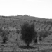 foto de Rally Fotogrfico